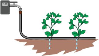 irrigazione-temporizzata irrigazione-temporizzata