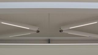 bt group tenda sole focus