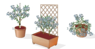 twedia-con-tutori twedia-con-tutori