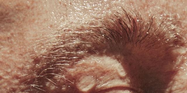 Maddalena Arcelloni. Incredibly Close Maddalena Arcelloni. Incredibly Close