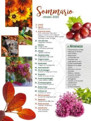 casa-in-fiore-10-sommario