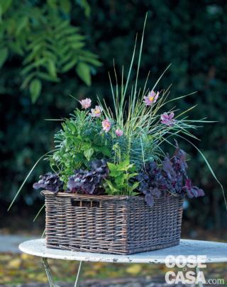 cesto con anemoni