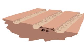 impianto semina impianto semina