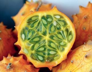 melone cornuto melone cornuto