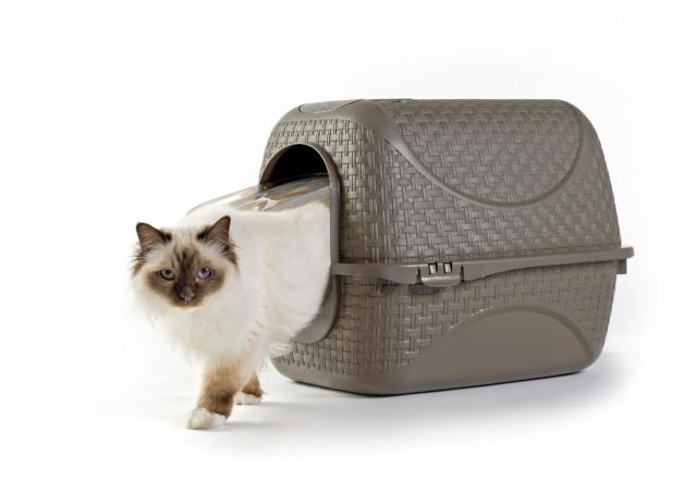 Privè di Bama box lettiera per gatti con porta basculante Privè di Bama box lettiera per gatti con porta basculante