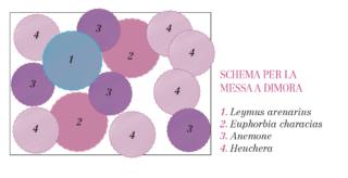 schema per la messa a dimora