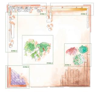 zone-della-pianta-terrazzo