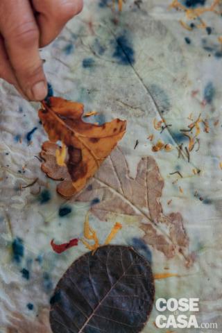 10. Rimuovere le foglie, i fiori e le bacche che andranno compostate nell'umido. 10. Rimuovere le foglie, i fiori e le bacche che andranno compostate nell'umido.