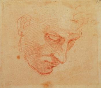 Michelangelo divino artista Michelangelo divino artista