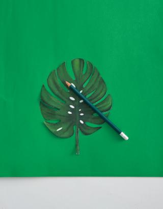 Si stampano e si ritagliano.