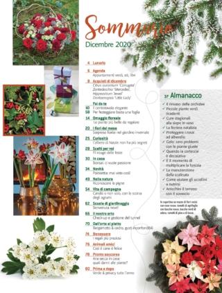 CIF12_sommario CIF12_sommario