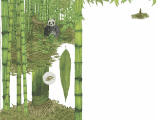 bambù 2020-11-19 alle 12.53.29 bambù 2020-11-19 alle 12.53.29