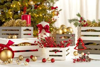 cassetta in plastica Tina di Bama addobbata per Natale cassetta in plastica Tina di Bama addobbata per Natale
