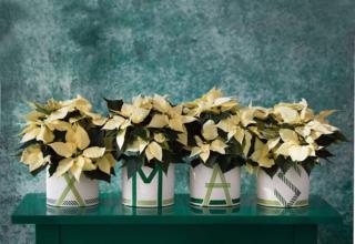 Il lavoro finito Il lavoro finito