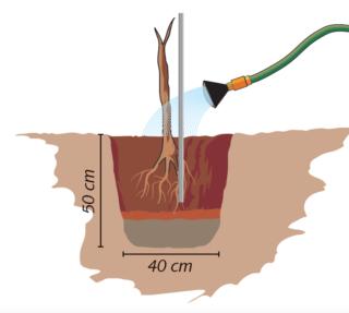 irrigazione irrigazione