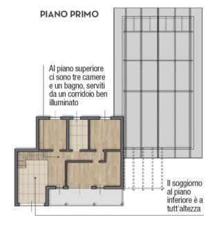 pianta primo piano pianta primo piano