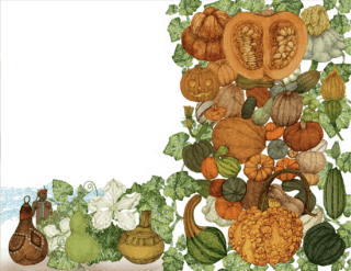 piante del mondo zucca piante del mondo zucca