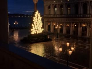 foto dell’albero di Natale di Venezia in Piazza San Marco foto dell’albero di Natale di Venezia in Piazza San Marco