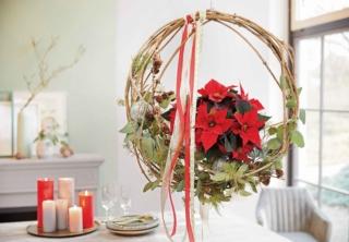 ghirlanda-sospesa-poinsettia ghirlanda-sospesa-poinsettia