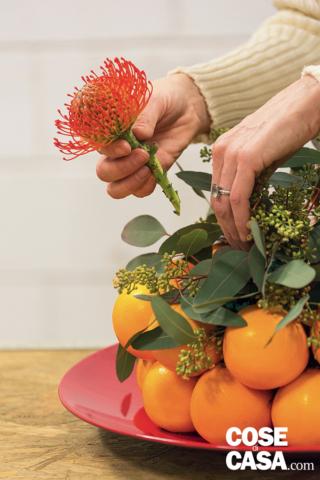 Aggiungere il Leucospermum Aggiungere il Leucospermum