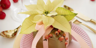 segnaposto con stella di natale