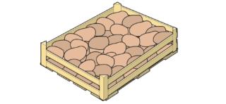 conservare le patate in cassette conservare le patate in cassette