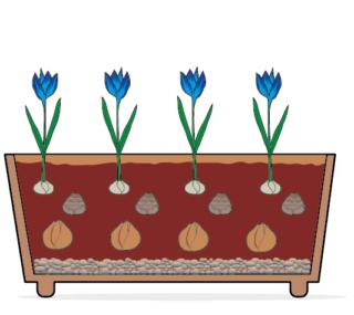 lasagna-crochi lasagna-crochi