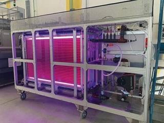 impianto produzione biomassa algale impianto produzione biomassa algale
