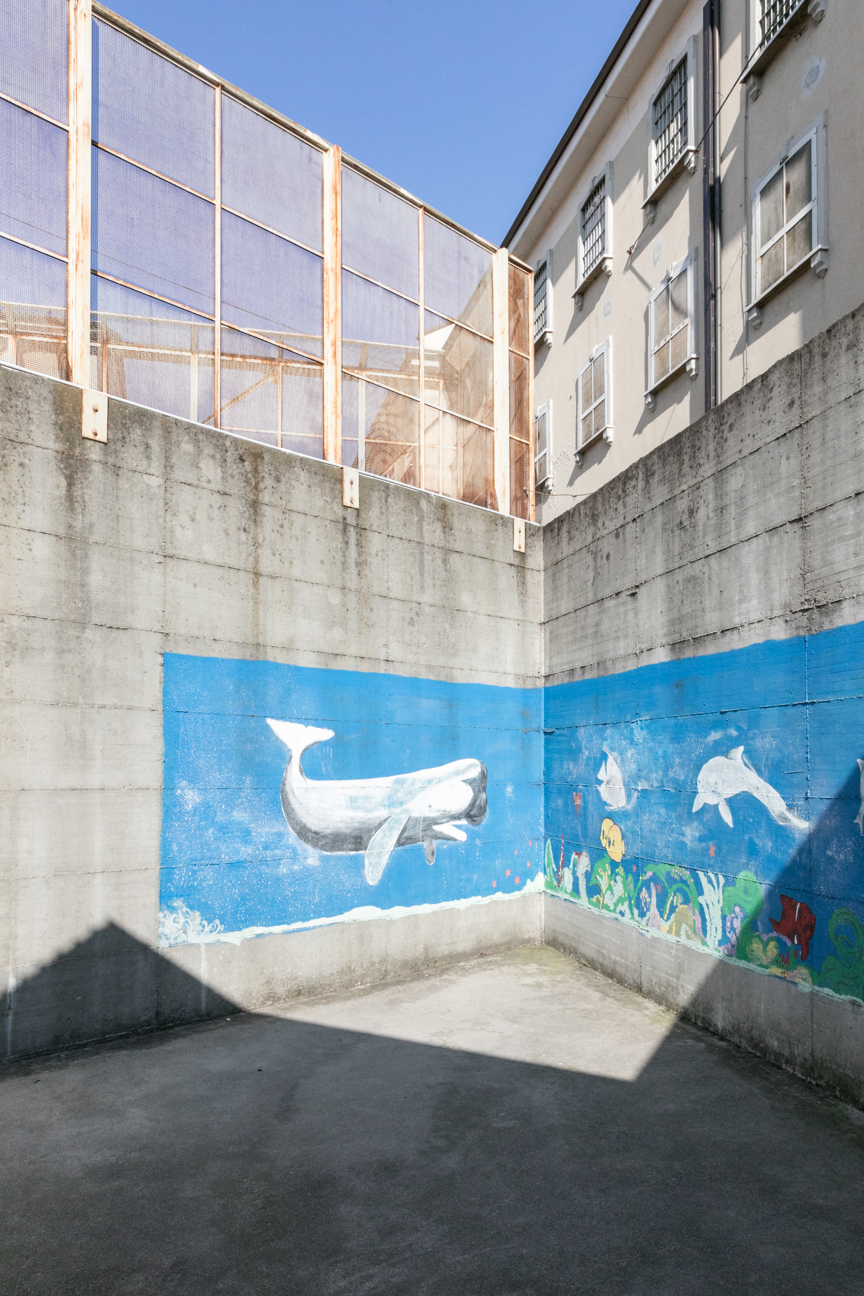 cortile di passeggio 3_Casa Circondariale San Vittore (foto Gianluca di Ioia)