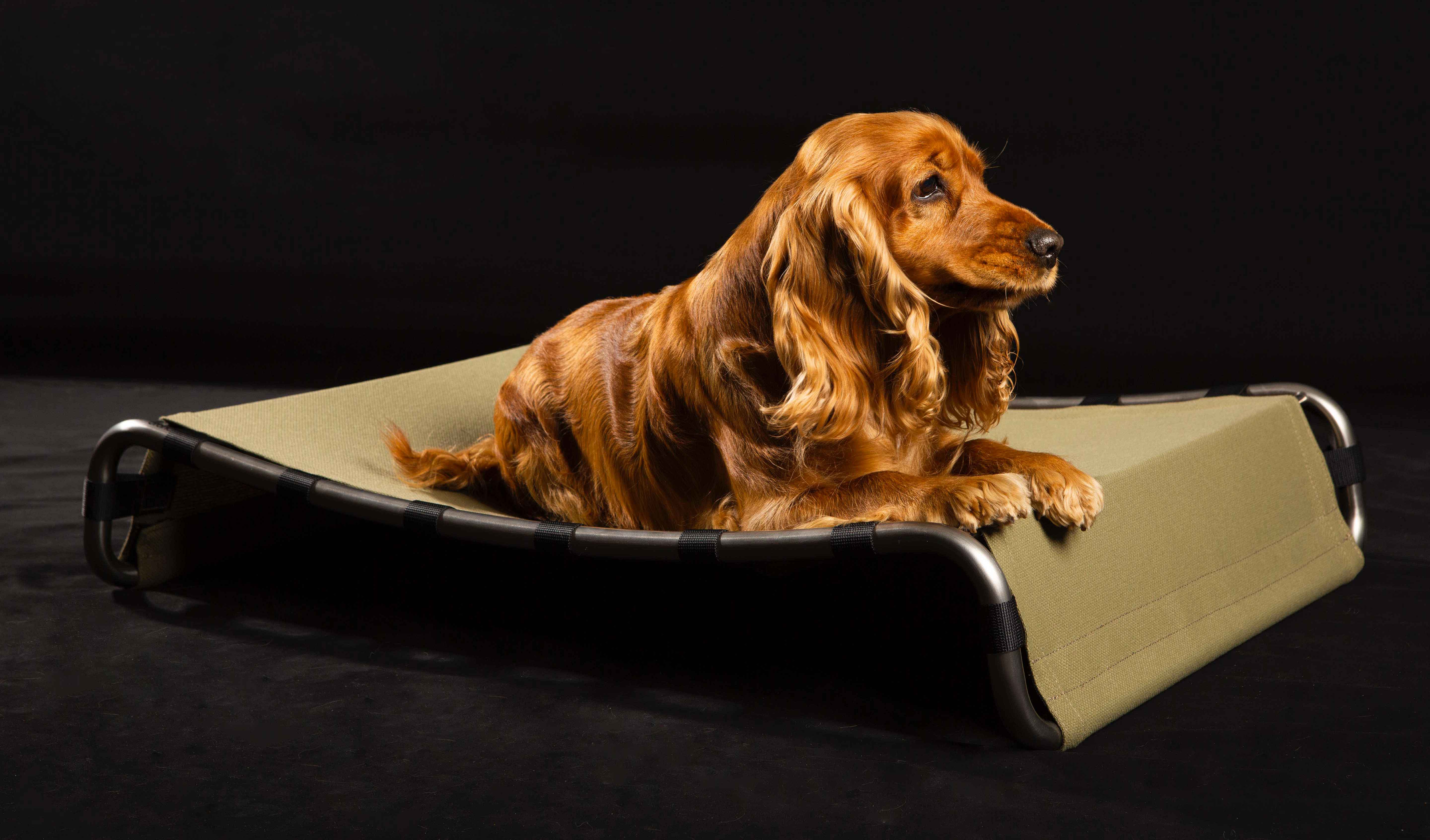 Il lettino Kanak-Telo di Brandodesign, realizzato interamente a mano, è composto da un telaio in acciaio inox modellato, nella finitura satinata, e rivestito da un resistente Telo in poliestere verde traspirante, facilmente rimovibile e lavabile in lavatrice. La struttura elastica si rivela facilmente fruibile dal cane, inoltre protegge il cane dal contatto diretto con le superfici umide, fredde o calde, e garantisce una naturale ventilazione. Misura L 83 x P 64 x H 15 cm. Prezzo 360 euro. www.brandodesign.it