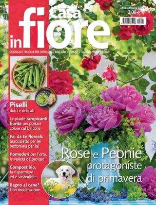 CIF05_cover CIF05_cover