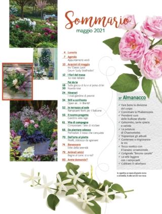 CIF05_sommario CIF05_sommario