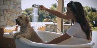 Docciaspazzola per pet che si attacca al flessibile del bagno