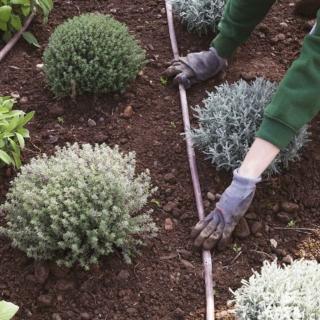 sistema di irrigazione