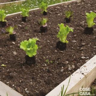 sistanze di impianto