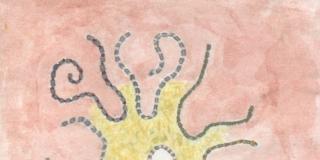 Mentre la vita ci respira – SoPolpoVit’EreticoLe Mentre la vita ci respira – SoPolpoVit’EreticoLe