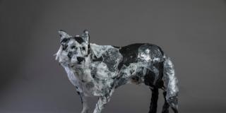 Urban soul – Anima urbana. Antonio Massarutto Urban soul – Anima urbana. Antonio Massarutto