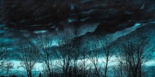 Andrea Chiesi. NATURA VINCIT Andrea Chiesi. NATURA VINCIT