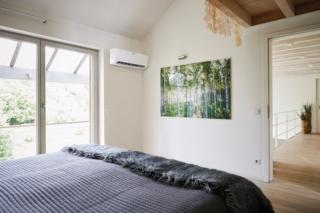 climatizzatore ClimaVairExclusive vaillant climatizzatore ClimaVairExclusive vaillant