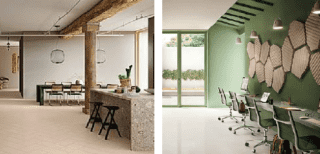 edilizia sostenibile_ pavimenti in micelio edilizia sostenibile_ pavimenti in micelio