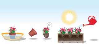 garofanini-a-dimora garofanini-a-dimora