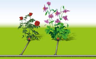 impianto-irrigazione-gocciolatori