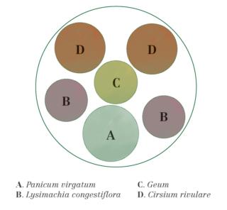 schema posizionamento