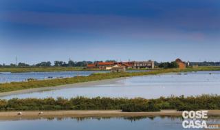 Verso la salina di Comacchio, si nota
la vegetazione palustre e l’avifauna.