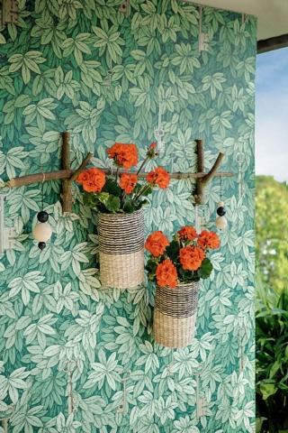 2020_Geraniums_3120_DIY_Hanging_from_a_Branch_04 2020_Geraniums_3120_DIY_Hanging_from_a_Branch_04