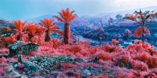Displaced. Richard Mosse Displaced. Richard Mosse