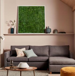 HOMI Community, parete vegetale di Moss Design