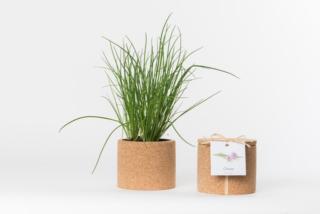 HOMI Community vasi Life in a bag