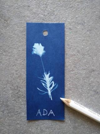 Una volta pronti, scrivete i nomi degli invitati con una matita bianca o un pennarello indelebile. Una volta pronti, scrivete i nomi degli invitati con una matita bianca o un pennarello indelebile.