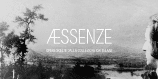 A/Essenze. Opere scelte dalla Collezione Cattelani A/Essenze. Opere scelte dalla Collezione Cattelani